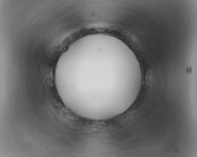 X0000112031062200908241533