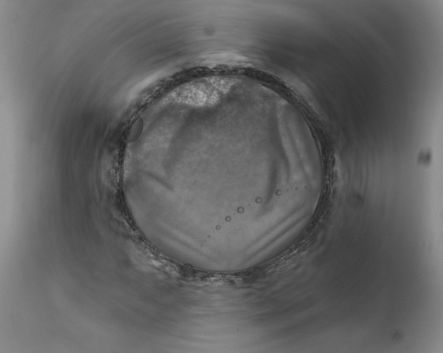 X0000112031063200908241533