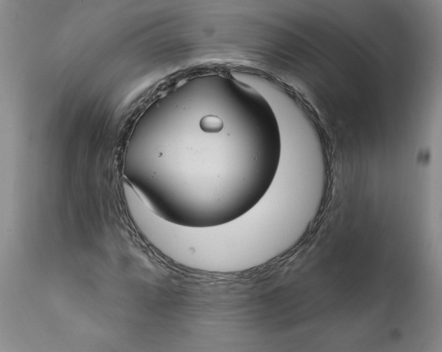 X0000112031064200908241533