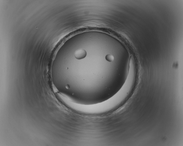 X0000112031065200908241533