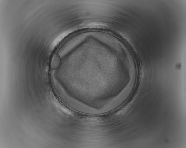 X0000112031066200908241533