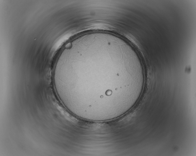 X0000112031067200908241533