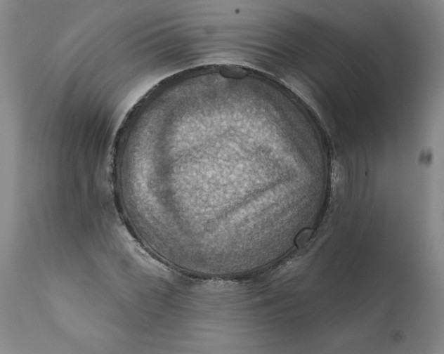 X0000112031068200908241533