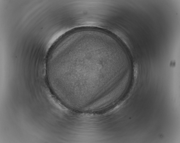 X0000112031069200908241533