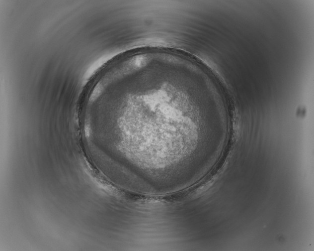 X0000112031070200908241533