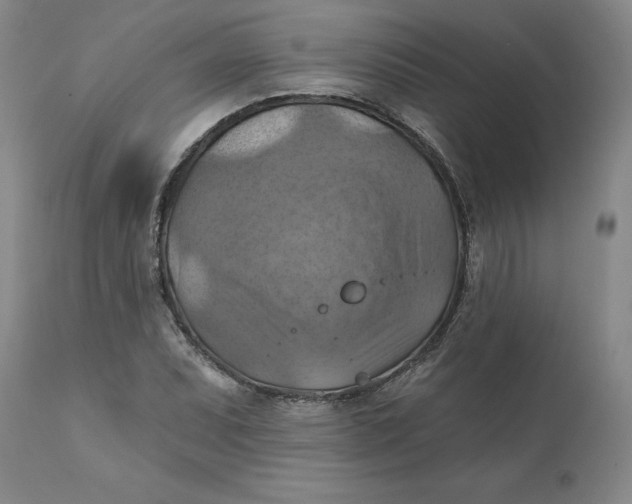 X0000112031071200908241533