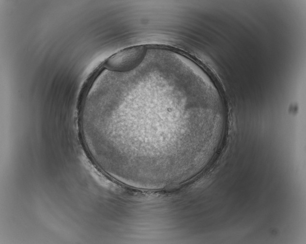 X0000112031072200908241533