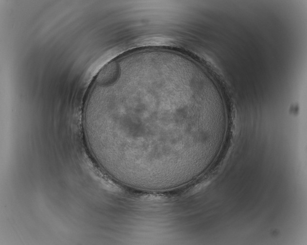 X0000112031073200908241533