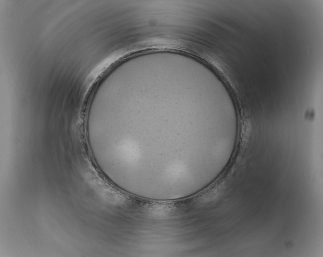 X0000112031074200908241533