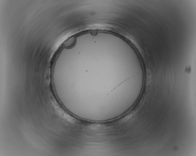 X0000112031075200908241533