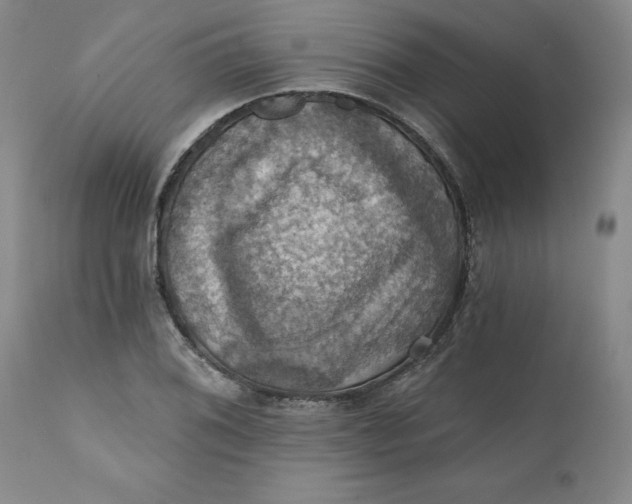 X0000112031076200908241533