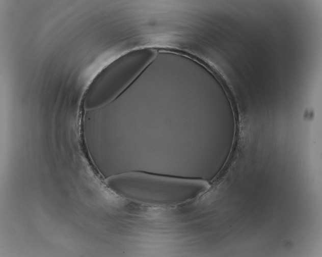 X0000112031077200908241533