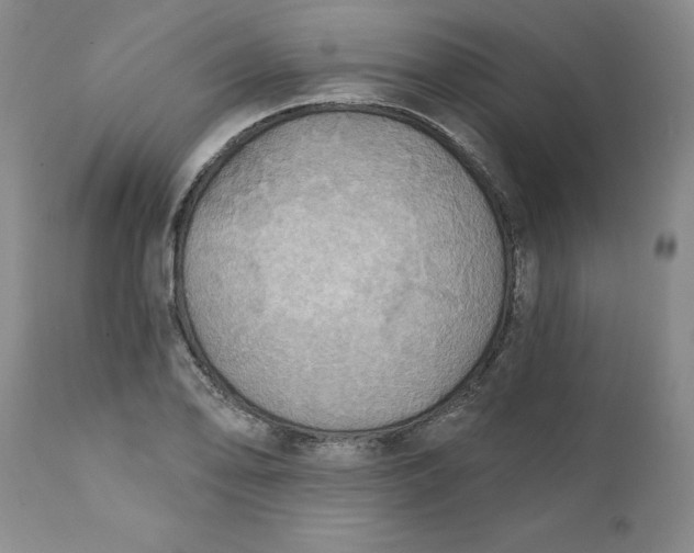 X0000112031078200908241533