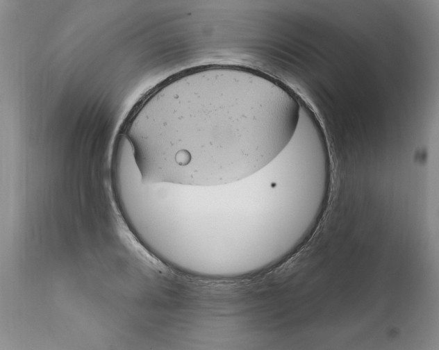 X0000112031080200908241532