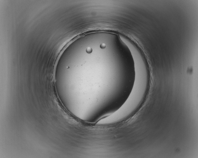 X0000112031081200908241532