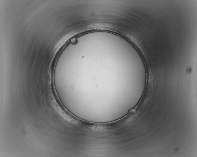 X0000112031082200908241532