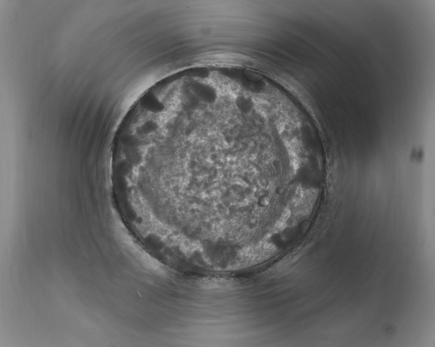 X0000112031083200908241532