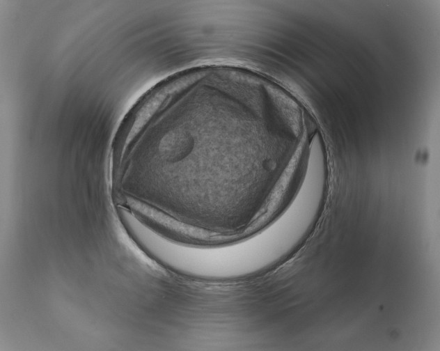 X0000112031084200908241532