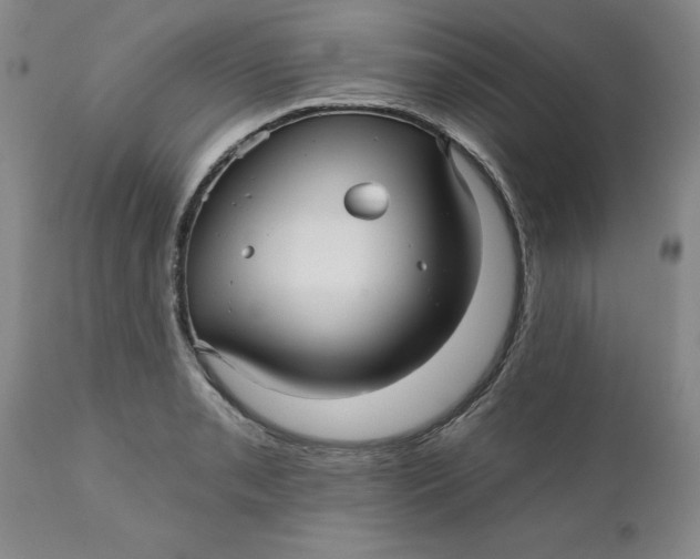 X0000112031085200908241532