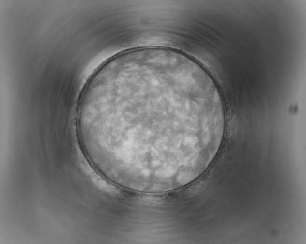 X0000112031086200908241532