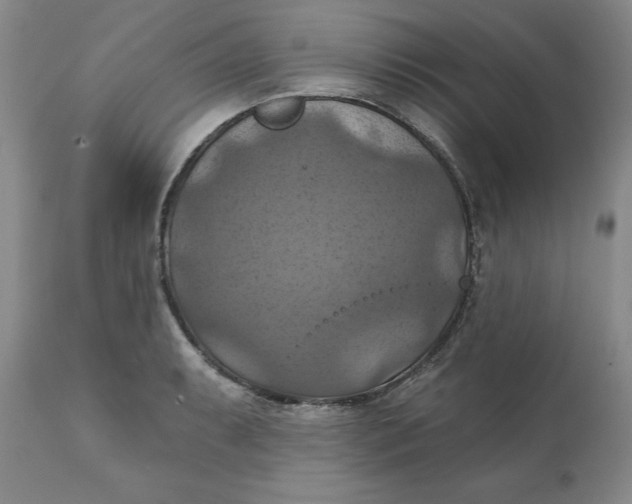 X0000112031087200908241532