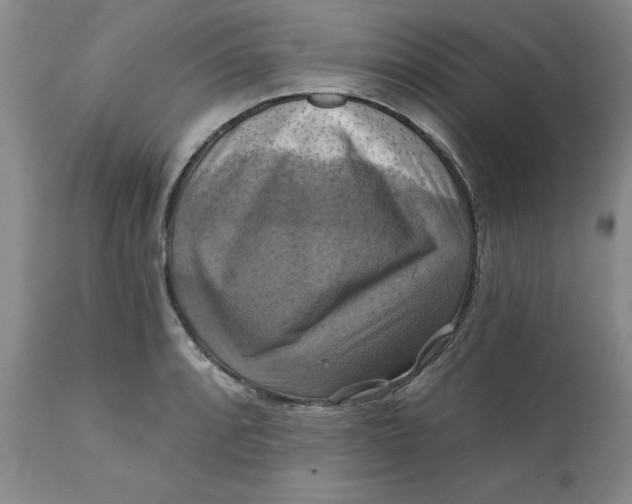 X0000112031088200908241532