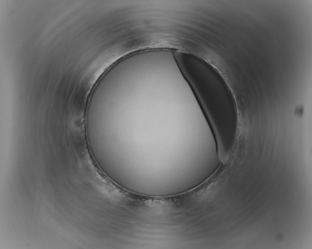 X0000112031089200908241532