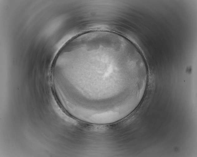 X0000112031090200908241532