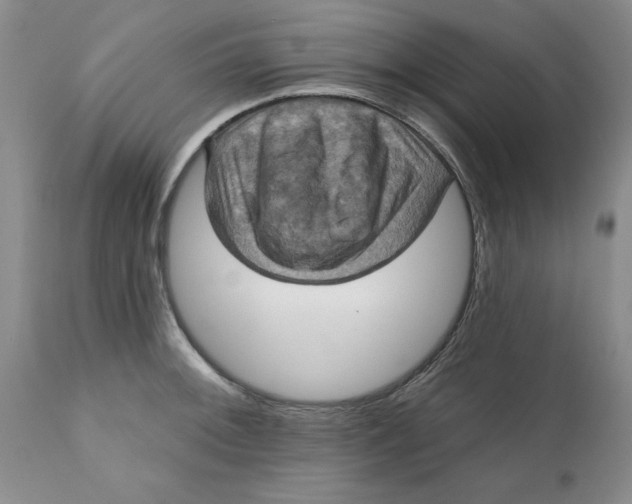 X0000112031092200908241532