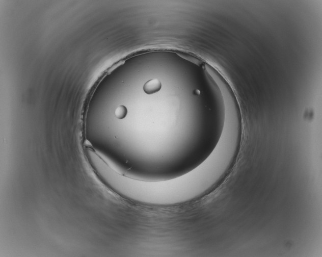 X0000112031093200908241532