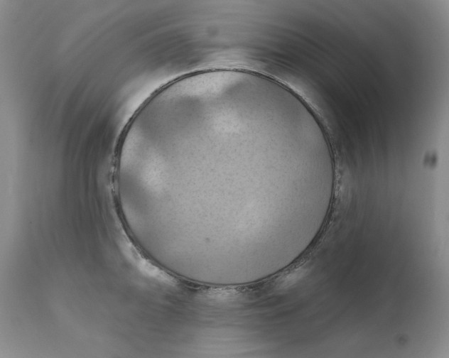 X0000112031094200908241532