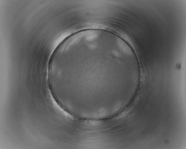 X0000112031095200908241532