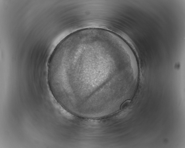 X0000112031096200908241532