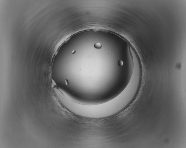 X0000112031097200908241532