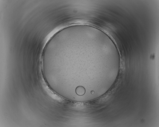 X0000112031098200908241532