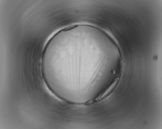 X0000112031100200908241532