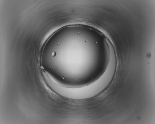 X0000112031101200908241532