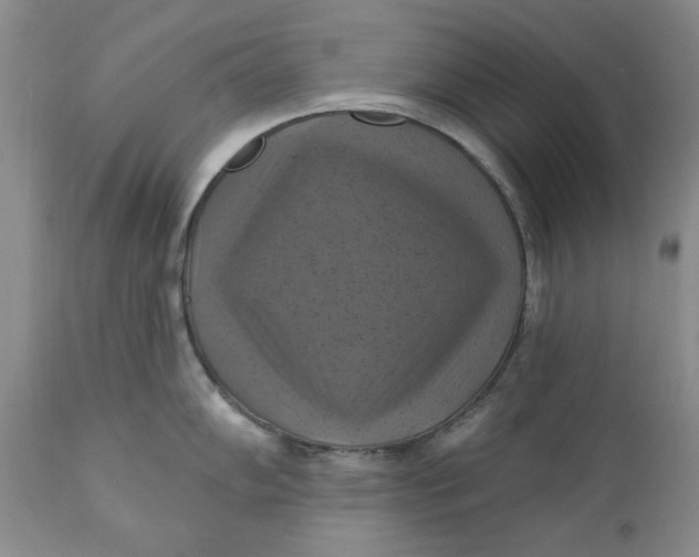 X0000112031102200908241532