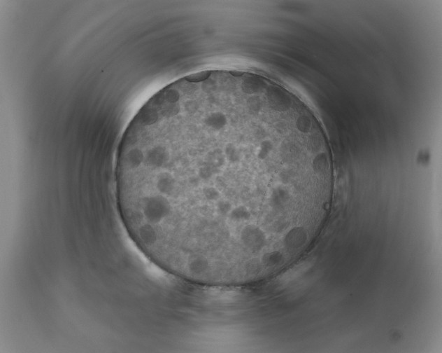 X0000112031103200908241532