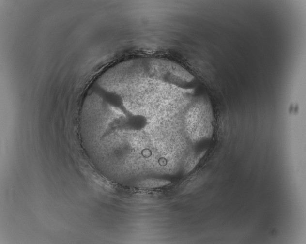 X0000112031105200908241531