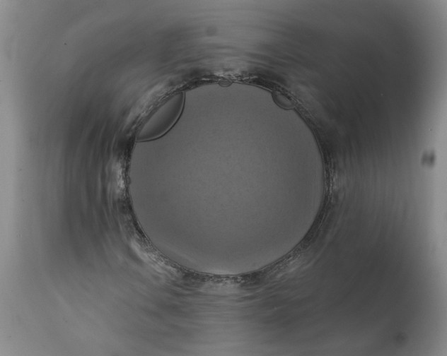 X0000112031106200908241531