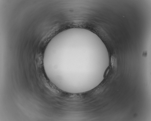 X0000112031107200908241532