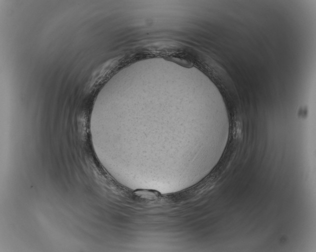 X0000112031108200908241532