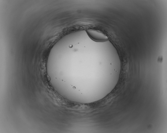 X0000112031109200908241532