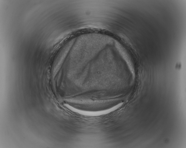 X0000112031110200908241532