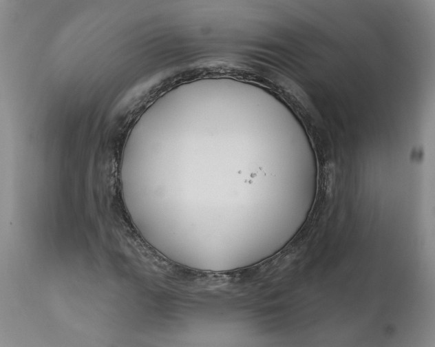 X0000112031111200908241532