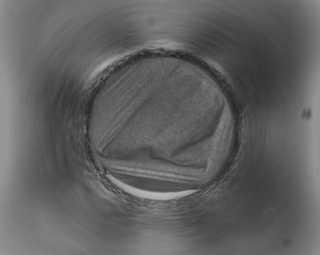 X0000112031112200908241532