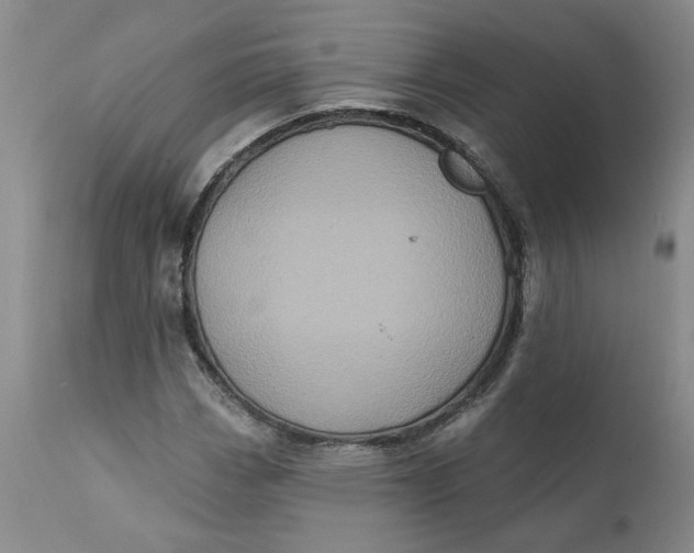 X0000112031113200908241532