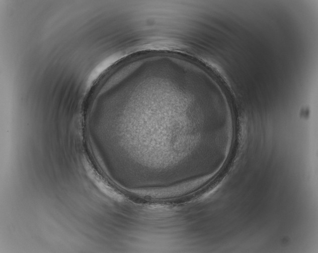 X0000112031114200908241532