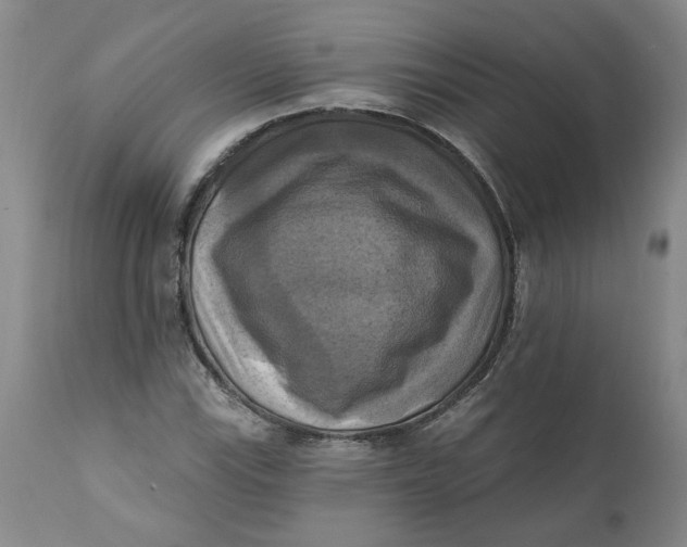 X0000112031115200908241532